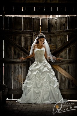 D3A 3995 266x400 D3A 3995
