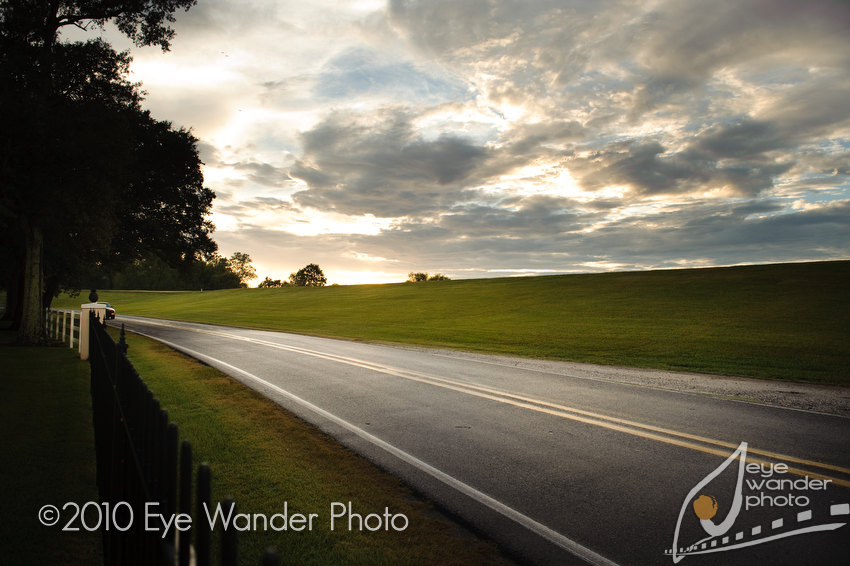 Gorgeous sunset over River Road at Oak Alley.