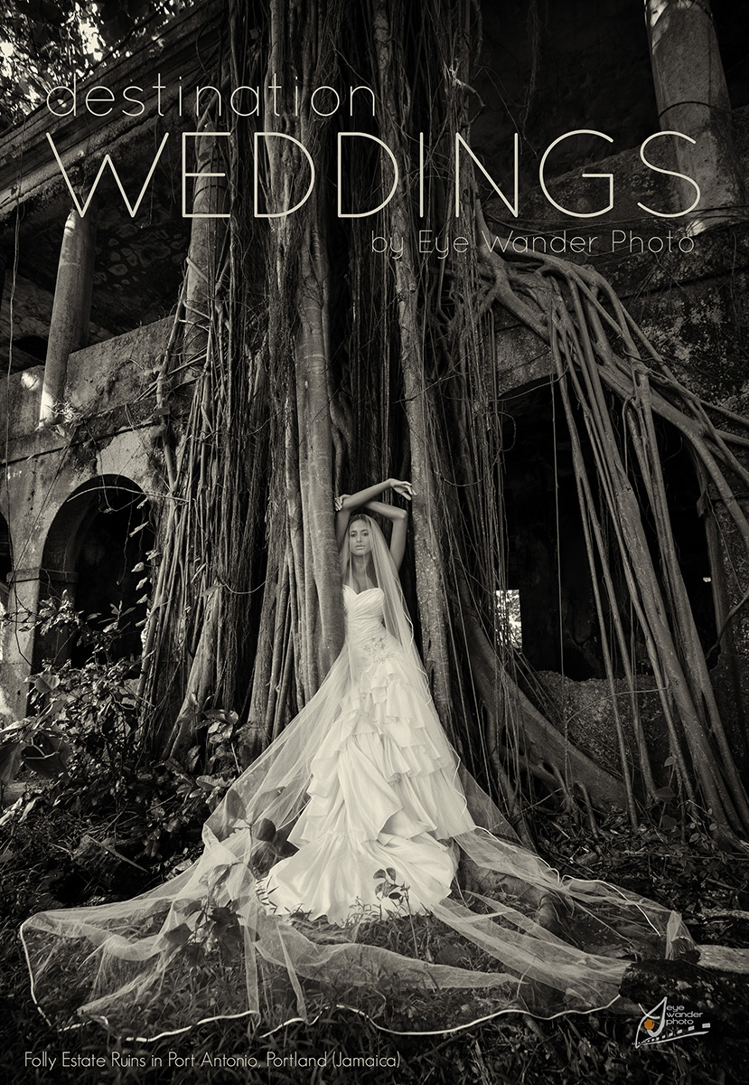 Bride in Port Antonio, Portland, Jamaica at Folly Estate Ruins in Caribbean Sea in tree