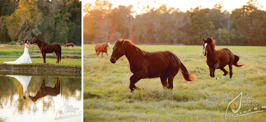 Baton Rouge Bridal Photography Eye Wander Photography