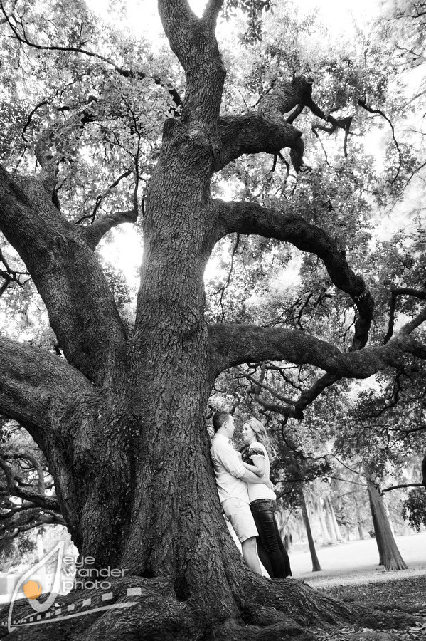 Live Oak Engagement Photo