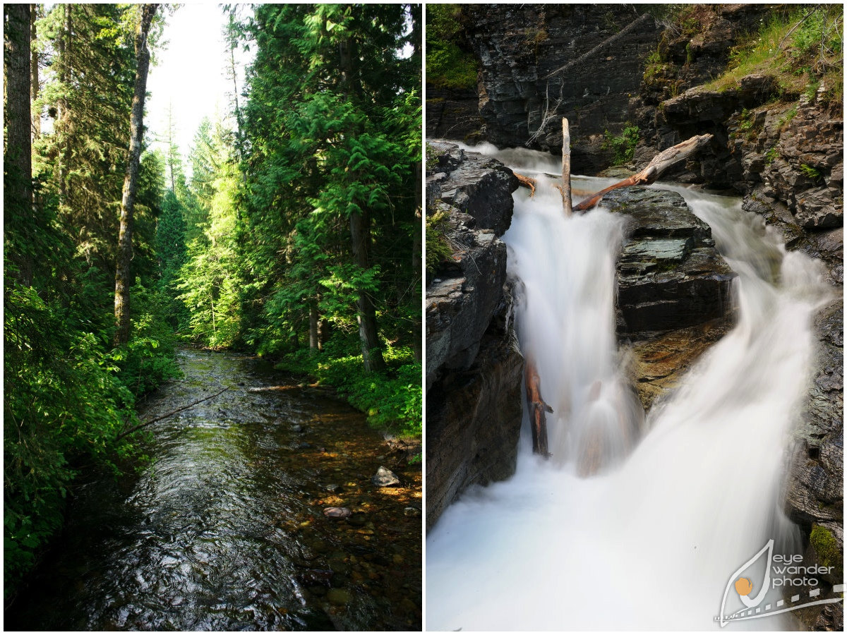 Glacier National Park Montana Landscape Photography creek waterfall in forest Glacier National Park Montana Landscape Photography creek waterfall in forest