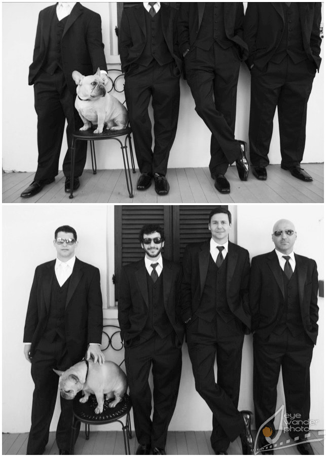 Nottoway Plantation Wedding Groom, Groomsmen, and Bulldog Ring Bearer