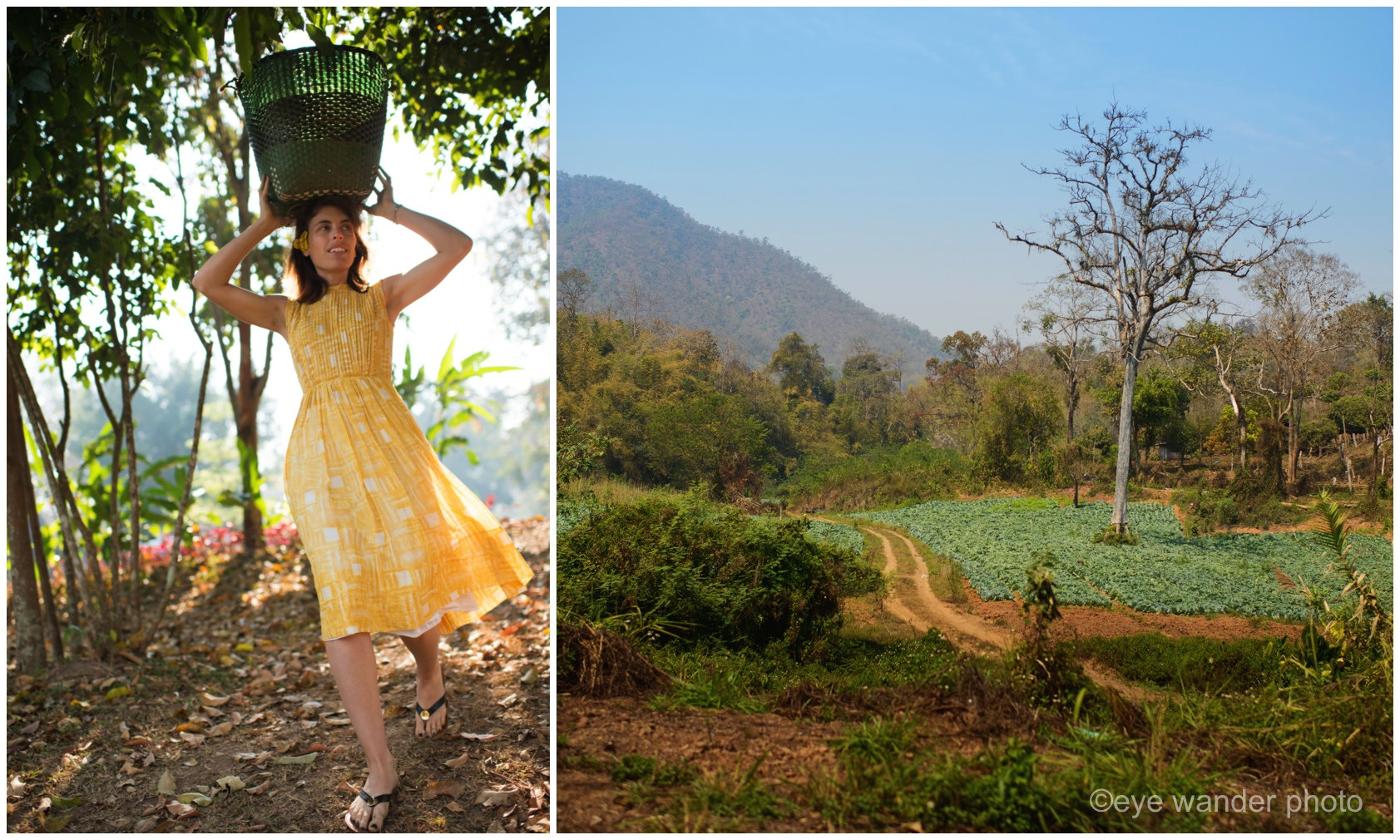 Chiang Mai Thailand girl in yellow dress basket on head in early morning light Chiang Mai Thailand girl in yellow dress basket on head in early morning light