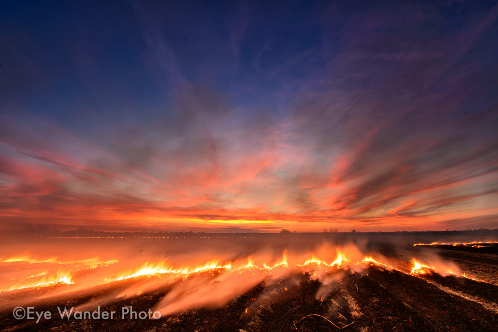 Sugar Cane Field on Fire