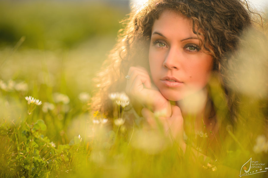 field-dandilions-senior