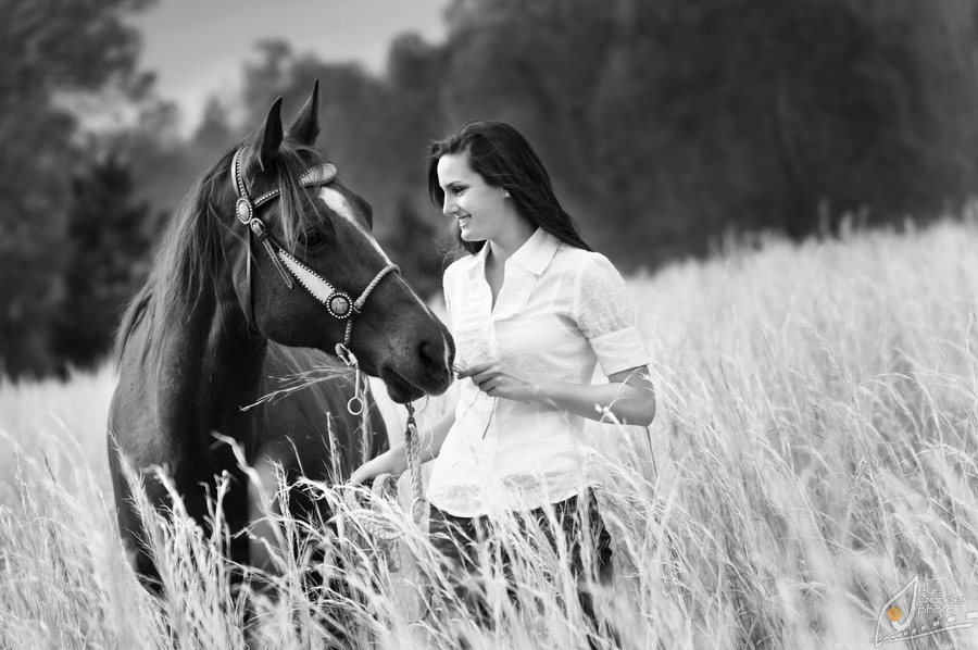 horse-field-senior