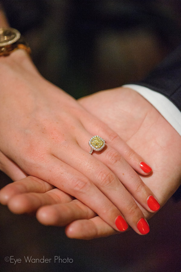 new-orleans-marriage-proposal_38