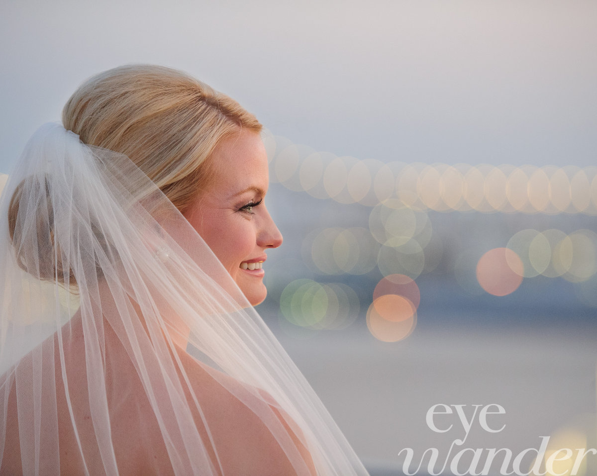 Bridal photography, bride, veil
