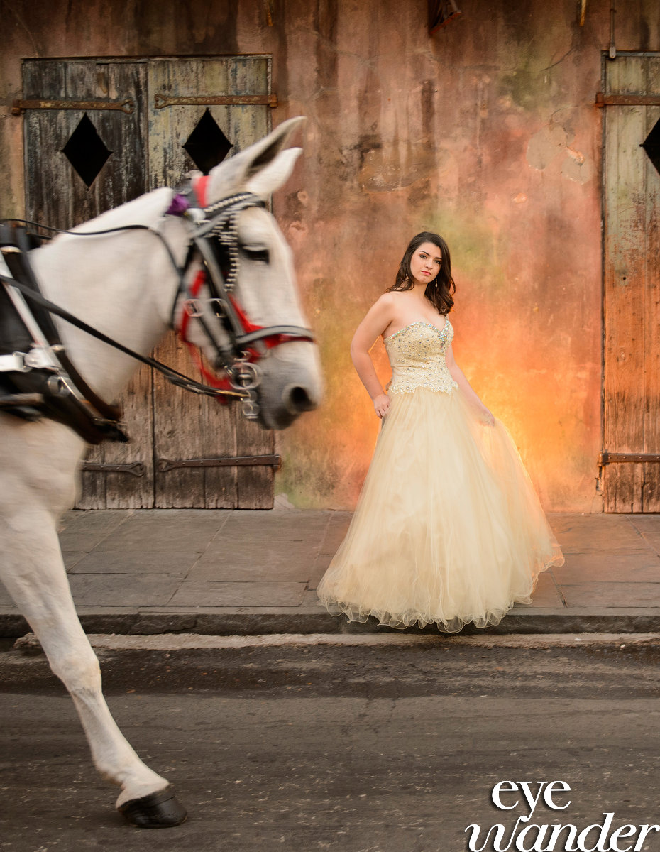 HaleyBeason_seniorad